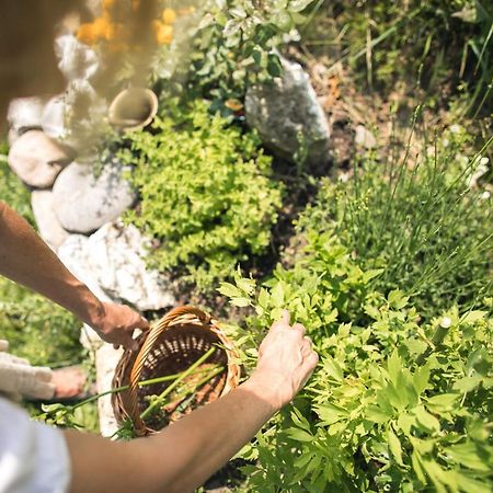 Chalet Alpenrose Bio Wellness Naturhotel 코골로 외부 사진