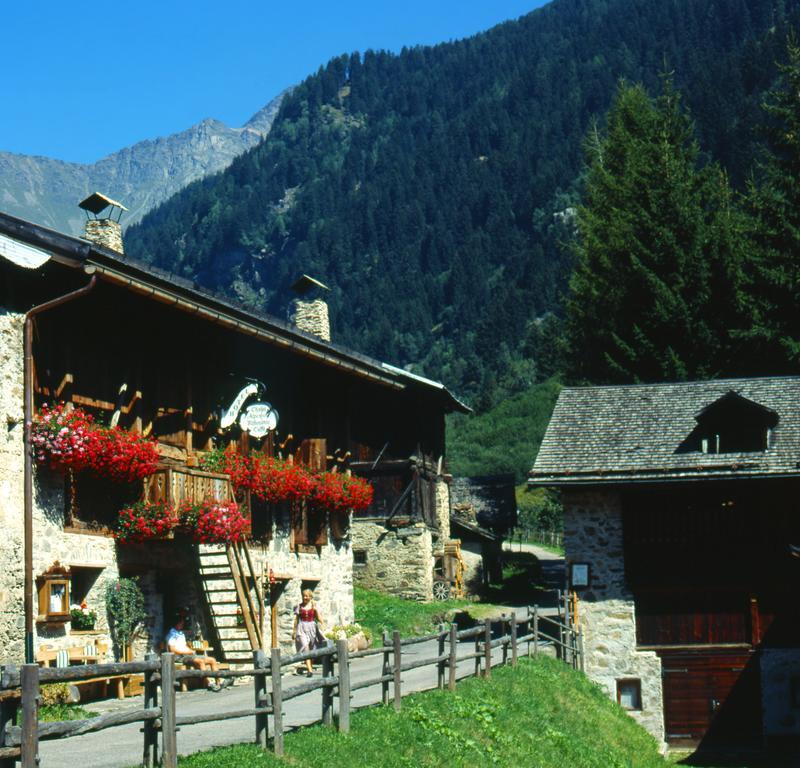 Chalet Alpenrose Bio Wellness Naturhotel 코골로 외부 사진