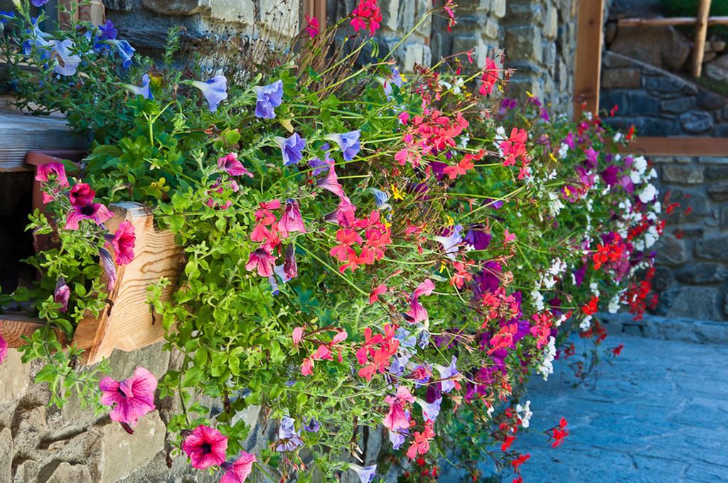 Chalet Alpenrose Bio Wellness Naturhotel 코골로 외부 사진