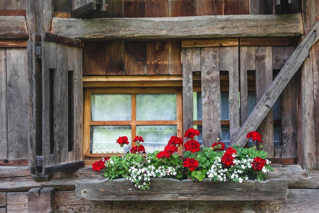 Chalet Alpenrose Bio Wellness Naturhotel 코골로 외부 사진